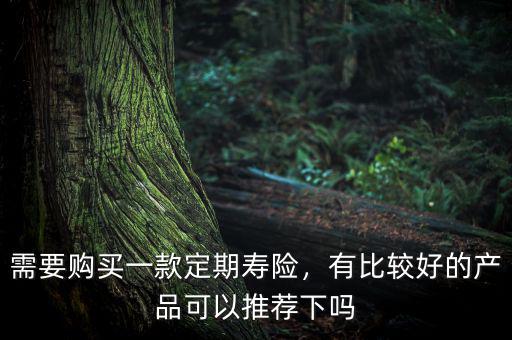 需要購買一款定期壽險，有比較好的產品可以推薦下嗎