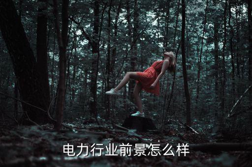 為什么選擇電力行業,電力行業前景怎么樣