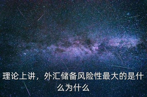 理論上講，外匯儲備風險性最大的是什么為什么