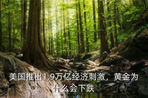 美國推出1.9萬億經濟刺激，黃金為什么會下跌