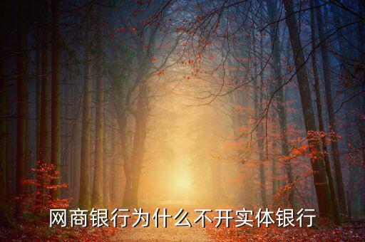 浙江網商銀行為什么不設物理網點,網商銀行為什么不開實體銀行