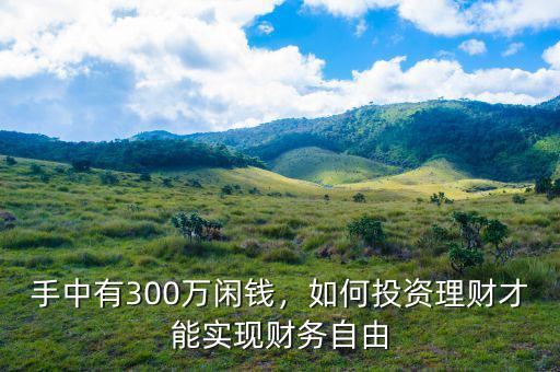 手中有300萬閑錢，如何投資理財才能實現財務自由