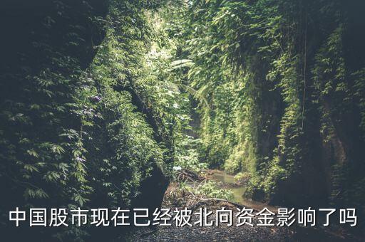 中國股市現在已經被北向資金影響了嗎