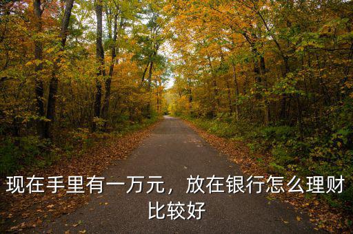 現在手里有一萬元，放在銀行怎么理財比較好