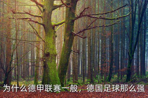 為什么德甲聯賽一般，德國足球那么強