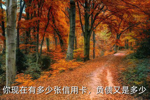 你現在有多少張信用卡，負債又是多少