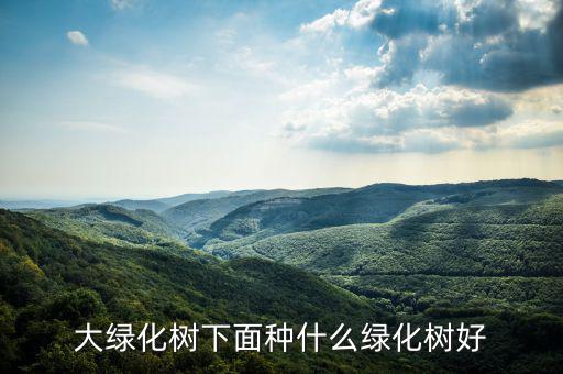 大規(guī)模國(guó)土綠化用什么樹(shù)種,哪些樹(shù)種可以做街道綠化樹(shù)種