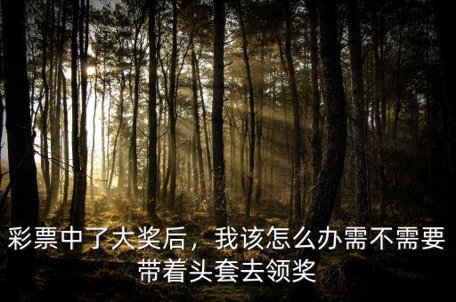 彩票中了大獎后，我該怎么辦需不需要帶著頭套去領獎