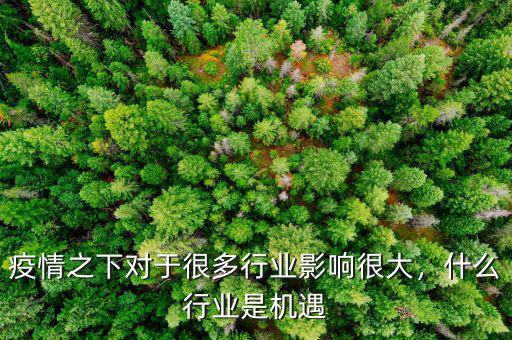 疫情之下對于很多行業影響很大，什么行業是機遇