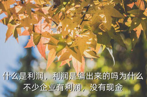 實現利潤是什么意思,利率和利潤是什么區別