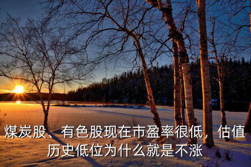 煤炭股、有色股現在市盈率很低，估值歷史低位為什么就是不漲