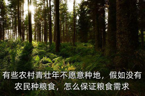 有些農村青壯年不愿意種地，假如沒有農民種糧食，怎么保證糧食需求