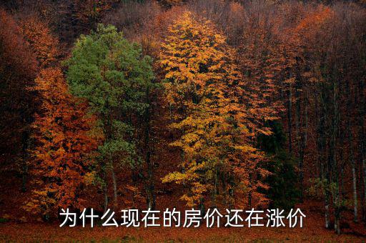 為什么現在的房價還在漲價
