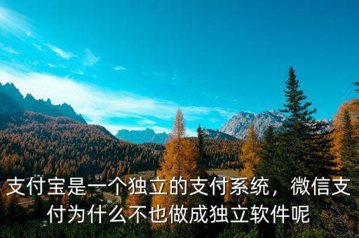 支付寶是一個獨立的支付系統，微信支付為什么不也做成獨立軟件呢