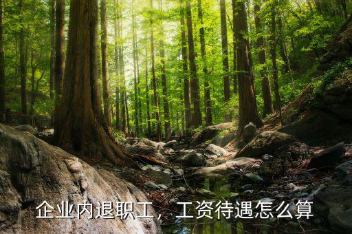包鋼職工內部退養工資怎么算,企業內退職工