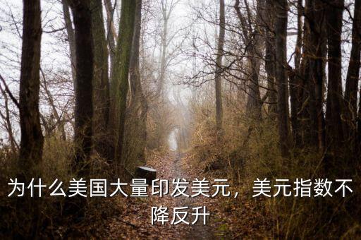 為什么美國大量印發美元，美元指數不降反升