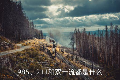 985、211和雙一流都是什么