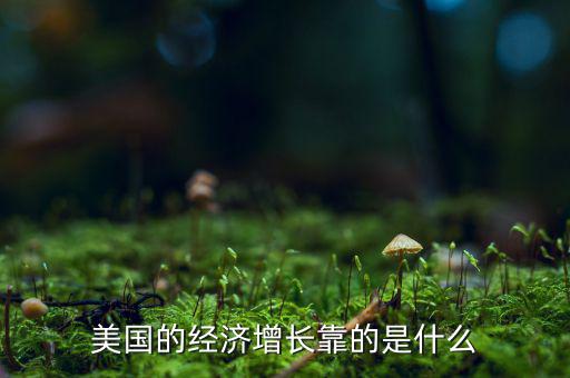 美國經濟靠什么發展,美國的經濟增長靠的是什么