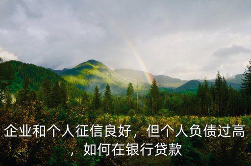 企業和個人征信良好，但個人負債過高，如何在銀行貸款