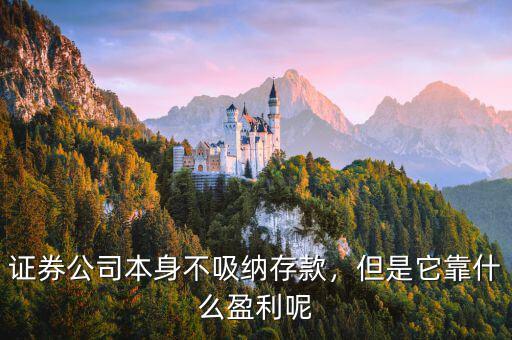金融公司靠什么盈利,金融行業做什么最掙錢