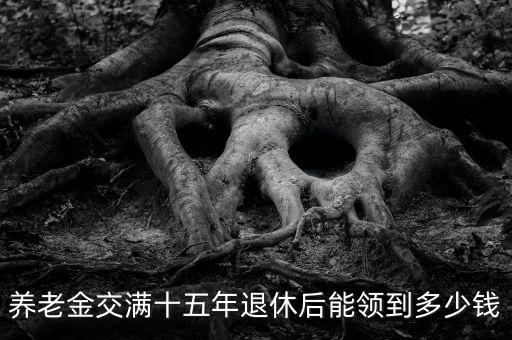 養老金交滿十五年退休后能領到多少錢