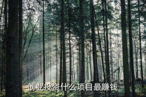 創業投資什么項目最賺錢