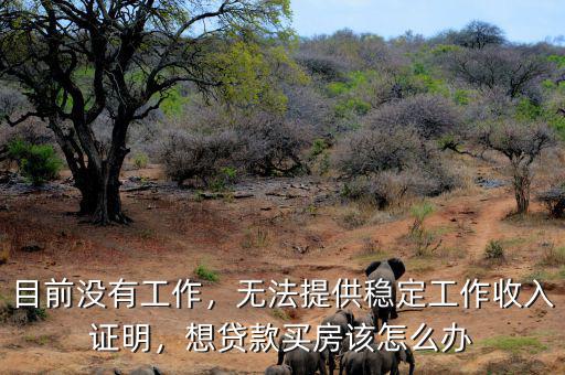 沒有工作證明怎么貸款,無法提供穩定工作收入證明