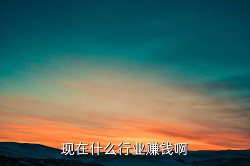 現在什么行業賺錢啊