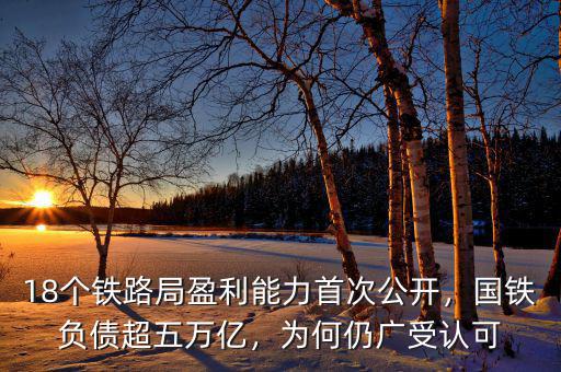 18個鐵路局盈利能力首次公開，國鐵負債超五萬億，為何仍廣受認可