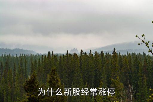 為什么新股經常漲停