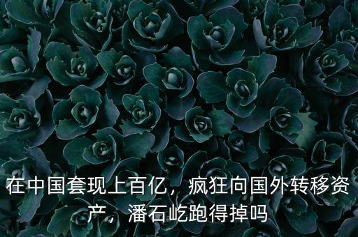 在中國套現上百億，瘋狂向國外轉移資產，潘石屹跑得掉嗎