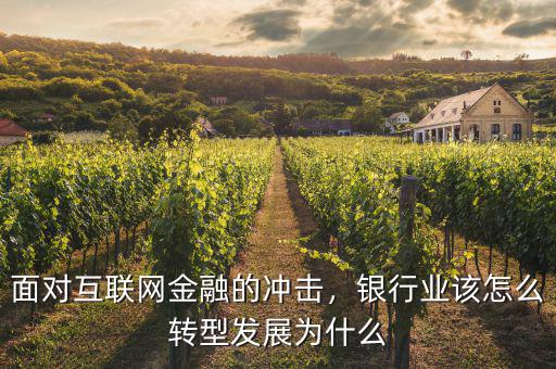 銀行怎么發展,農商銀行未來如何發展