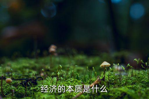 安全經濟價值的本質是什么,經濟的本質是什么