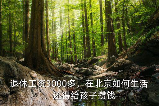 退休工資3000多，在北京如何生活，還得給孩子攢錢