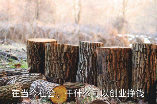 在當今社會，干什么可以創業掙錢