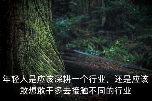 年輕人是應該深耕一個行業，還是應該敢想敢干多去接觸不同的行業