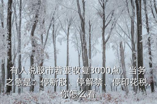 有人說股市若要收復3000點，當務之急是：停新股、停解禁、停印花稅，你怎么看