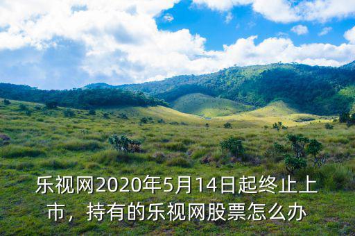 樂視網2020年5月14日起終止上市，持有的樂視網股票怎么辦