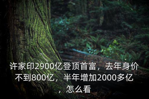 許家印2900億登頂首富，去年身價不到800億，半年增加2000多億，怎么看