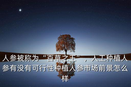 人參被稱為“百草之王”，人工種植人參有沒有可行性種植人參市場前景怎么樣