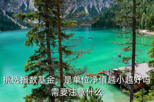 什么是選購指數,挑選指數基金