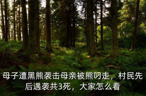 黑熊怎么襲擊,四川發生黑熊襲擊人事件
