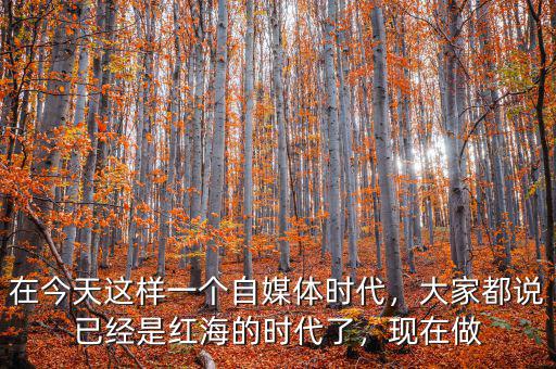 在今天這樣一個自媒體時代，大家都說已經是紅海的時代了，現在做
