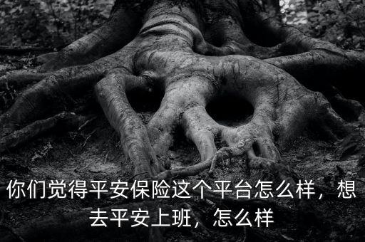 你們覺得平安保險這個平臺怎么樣，想去平安上班，怎么樣