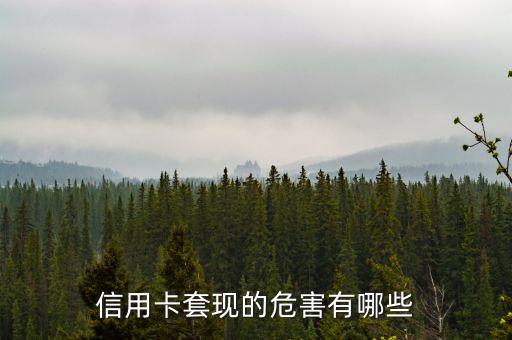 信用卡套現的危害有哪些