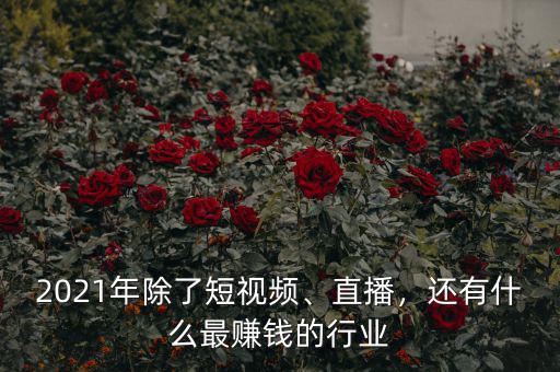 2021年除了短視頻、直播，還有什么最賺錢的行業