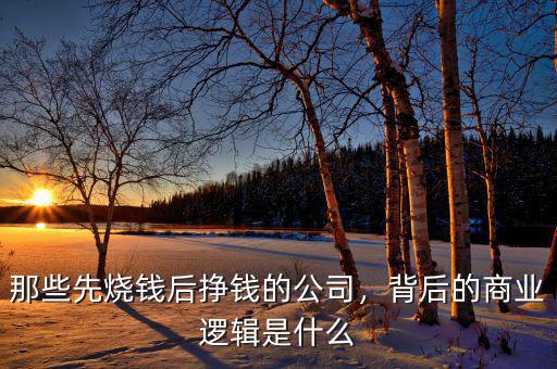 電商燒錢有什么好處,電商節對女性的好處有哪些