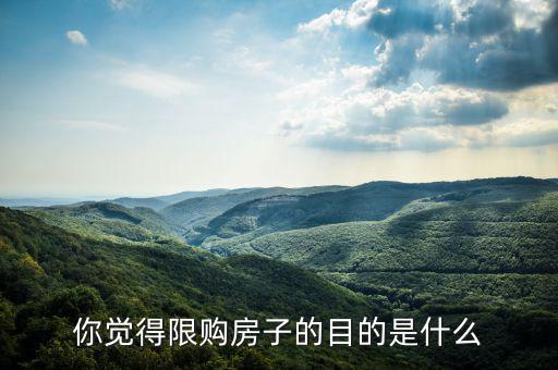 什么是房地產限購,房子限購是什么意思
