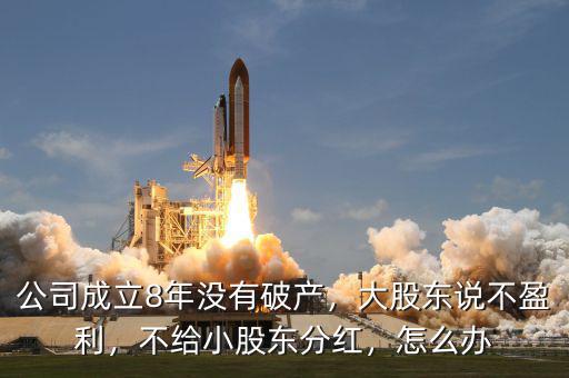 公司不盈利怎么辦,上市公司持續盈利