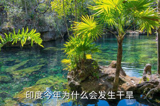 為什么印度干旱,印度今年為什么會發生干旱